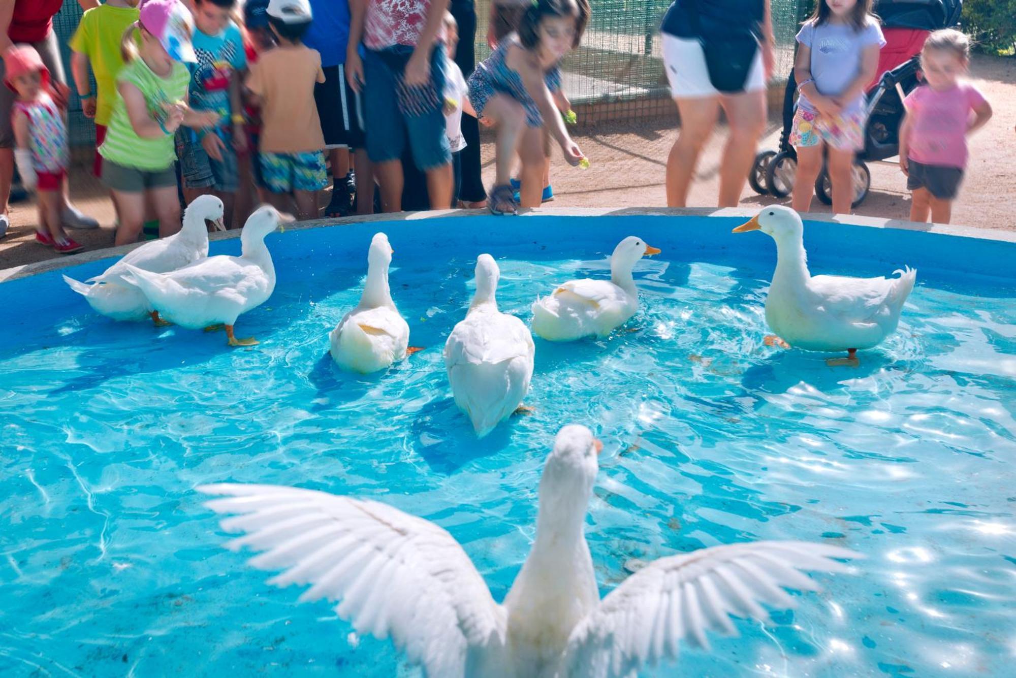 Vilar Rural De Sant Hilari Sacalm By Serhs Hotels エクステリア 写真